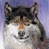 MageGrayWolf's Armatar