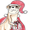 Ferret