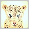 LittleWOWandRSplayer