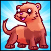 Ferret